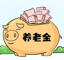 個(gè)人養(yǎng)老金業(yè)務(wù)